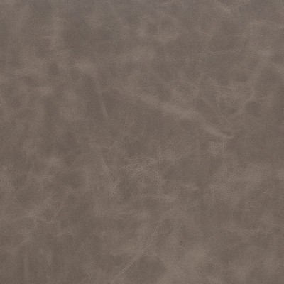 Charlotte Fabrics Z395 Pewter