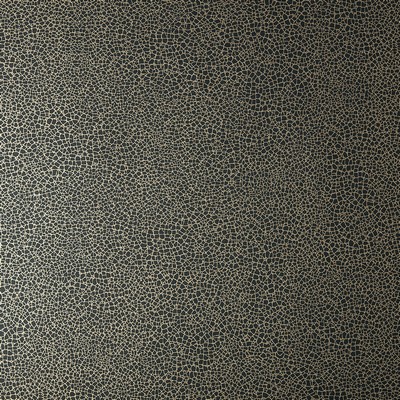 1838 Wallcoverings EMILE (WP) # 06 JET