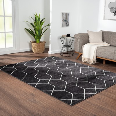 Olliix Averie Trellis Geometric Woven Area Rug Black/Cream