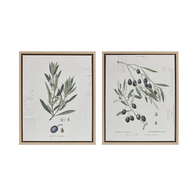 Olliix Kalamata Branches Botanical Illustration 2-piece Framed Canvas Wall Art Set Neutral