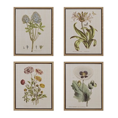 Olliix Herbal Botany 4-piece Botanical Illustration Framed Canvas Wall Art Set Green