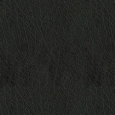 Abbeyshea Fabrics Abilene 9009 Black