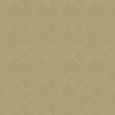 Abbeyshea Fabrics Claro 6003 Beige