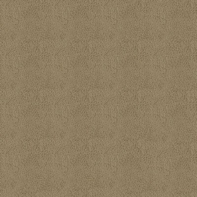 Abbeyshea Fabrics Claro 6009 Taupe