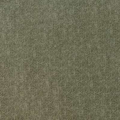 Abbeyshea Fabrics Comrade 205 Olive 