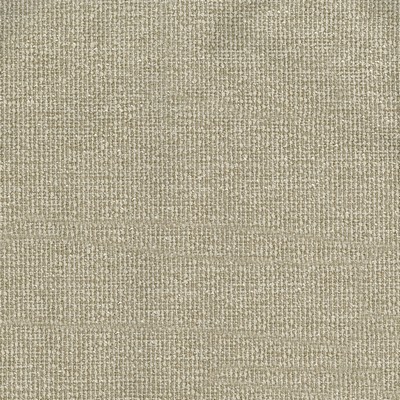 Abbeyshea Fabrics CRYPTON NORTHERN 61 Oatmeal