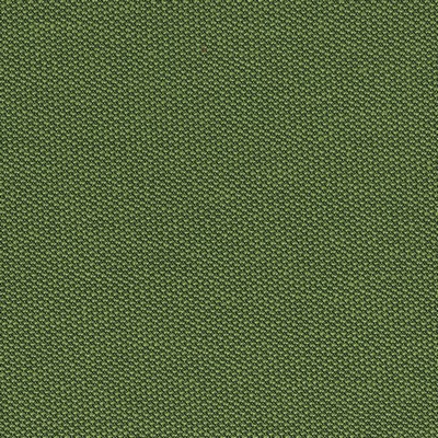 Abbeyshea Fabrics Filbert 208 Grass 