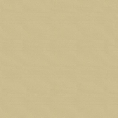 Abbeyshea Fabrics Patio 500522 Beige