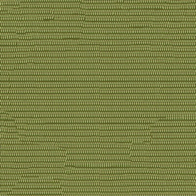 Abbeyshea Fabrics Phifertex Plus 3021366 Dupioni Kiwi DJ7