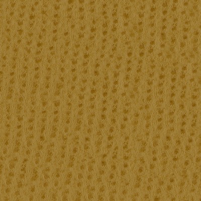 Abbeyshea Fabrics Phoenix 009 Ochre