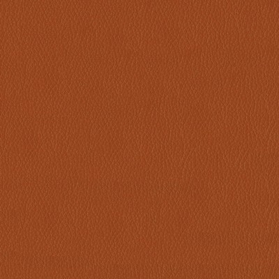 Abbeyshea Fabrics Premier 44 Pumpkin Spice