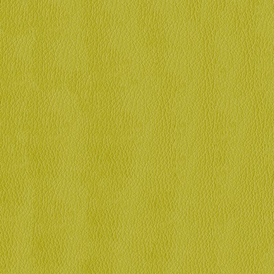 Abbeyshea Fabrics Premier 54 Citron