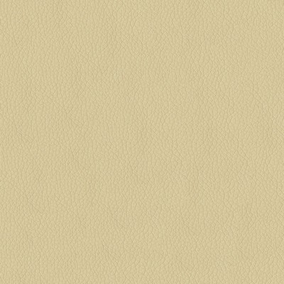 Abbeyshea Fabrics Premier 605 Parchment