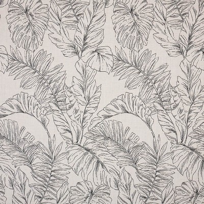 Abbeyshea Fabrics Sunbrella Furniture Calm 145854-0001 Graphite