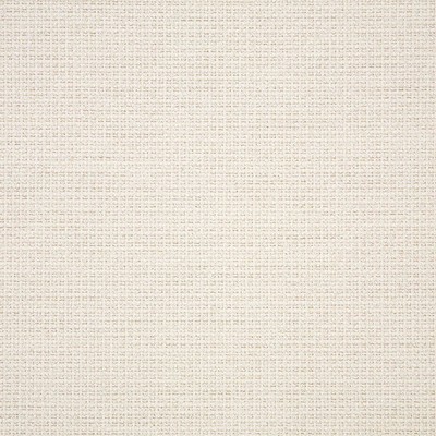 Abbeyshea Fabrics Sunbrella Furniture Nurture 42102-0001 White