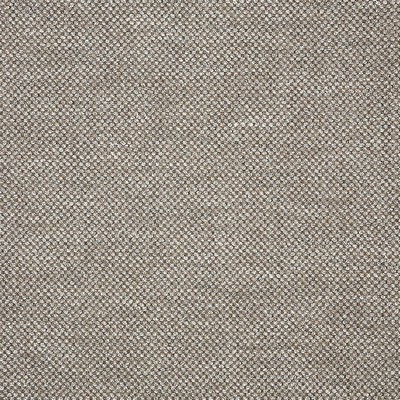 Abbeyshea Fabrics Sunbrella Furniture Nurture 42102-0004 Shale