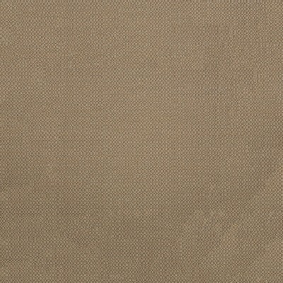 Abbeyshea Fabrics Sunbrella Furniture Action 44285-0003 Taupe