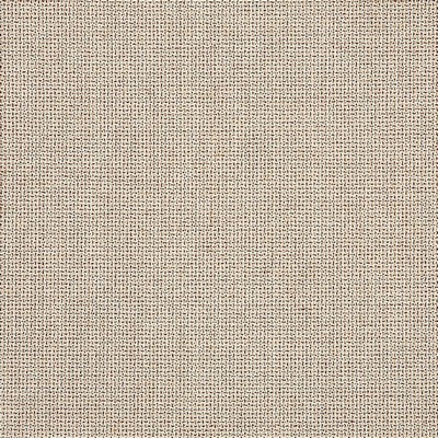 Abbeyshea Fabrics Sunbrella Furniture Bliss 48135-0002 Sand