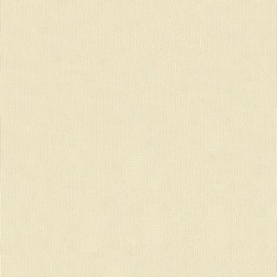 Abbeyshea Fabrics Sunbrella Furniture Shadow 51000-0000 Snow