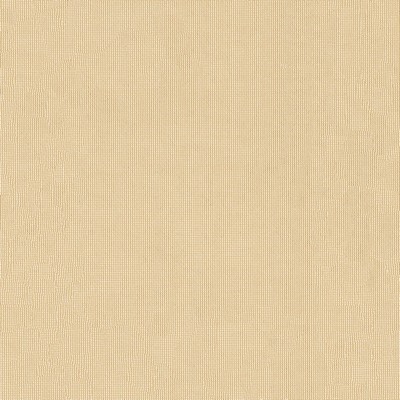 Abbeyshea Fabrics Sunbrella Furniture Shadow 51000-0001 Sand