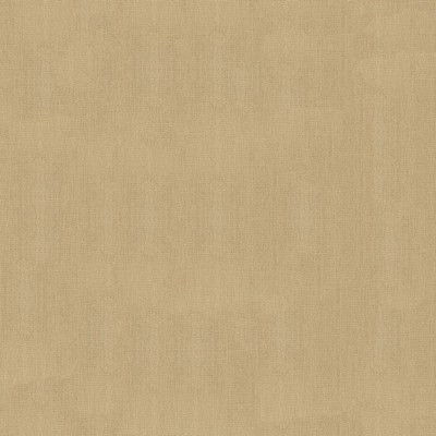 Abbeyshea Fabrics Sunbrella Furniture Solid Canvas 5476 Heather Beige