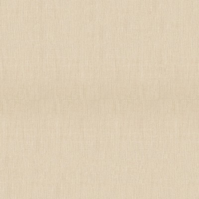 Abbeyshea Fabrics Sunbrella Furniture Canvas 5492-0000 Flax