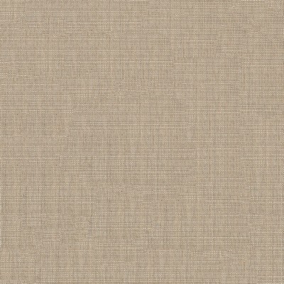 Abbeyshea Fabrics Sunbrella Furniture Echo 57007-0000 Dune