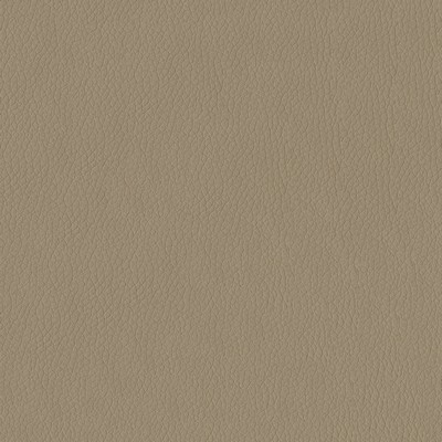 Abbeyshea Fabrics Turner 3948 Taupe