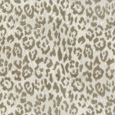 Abbeyshea Fabrics Wild Thing 601 Latte 