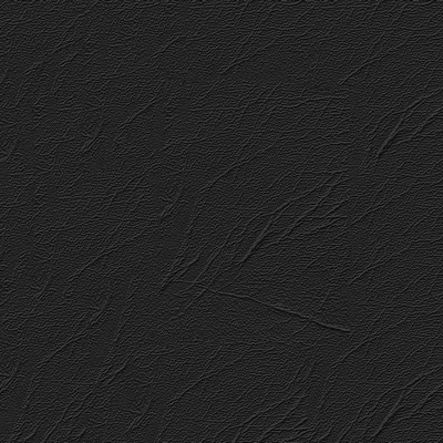 Abbeyshea Fabrics Winterzone - Black