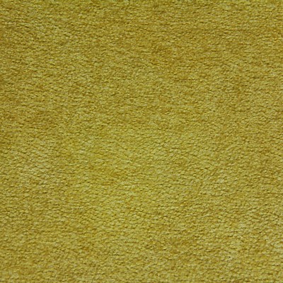 Scalamandre PULP ASTRAKAN GOLDEN YELLOW