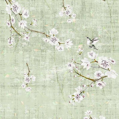 Scalamandre BLOSSOM FANTASIA - SHEER CELADON