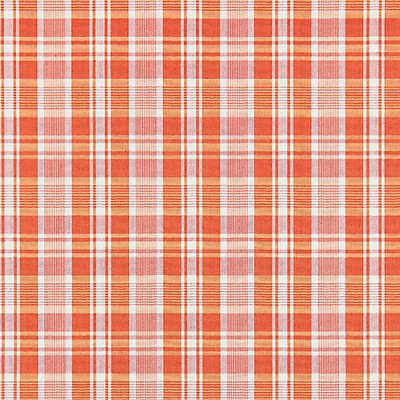 Scalamandre PRESTON COTTON PLAID BELLINI