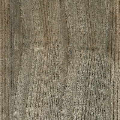 Scalamandre Wallcoverings WOODGRAIN SHARK