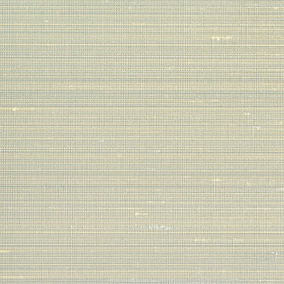 Scalamandre Wallcoverings RAVI SHORELINE