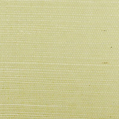 Scalamandre Wallcoverings SISAL SPRING