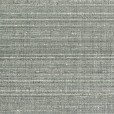 Scalamandre Wallcoverings NIRMALA SLATE