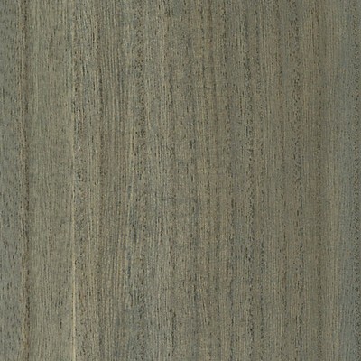 Scalamandre Wallcoverings WOODGRAIN BEACH GLASS