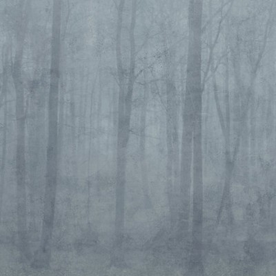 Scalamandre Wallcoverings SKOG - MURAL MISTY BLUE