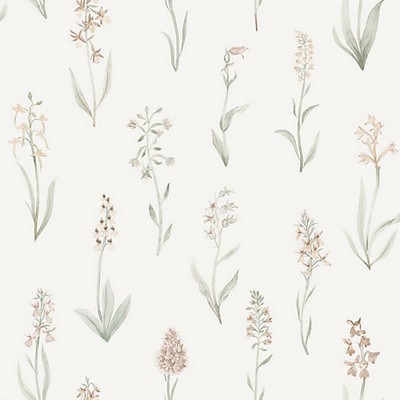 Scalamandre Wallcoverings ALMA BLUSH