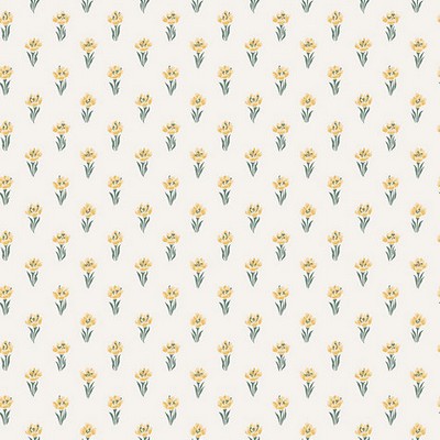 Scalamandre Wallcoverings BETTY YELLOW