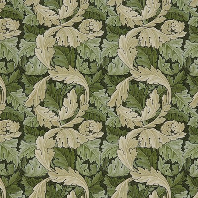 Stout 7859 ACANTHUS 4 MOSS