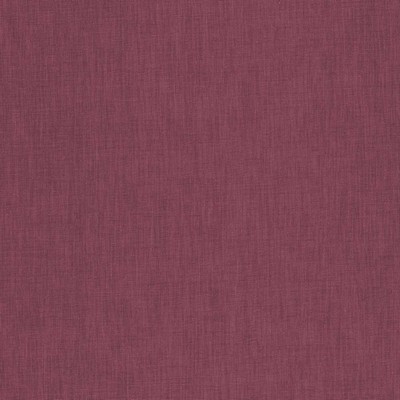 Kasmir BRUSSELS         FUCHSIA         