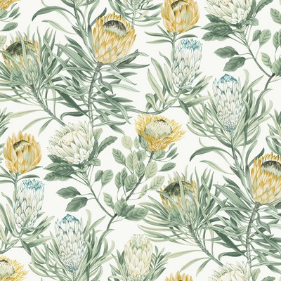 York Wallcovering Protea White & Yellow