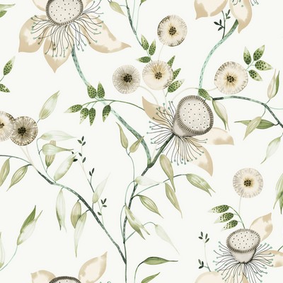 York Wallcovering Dream Blossom White & Green