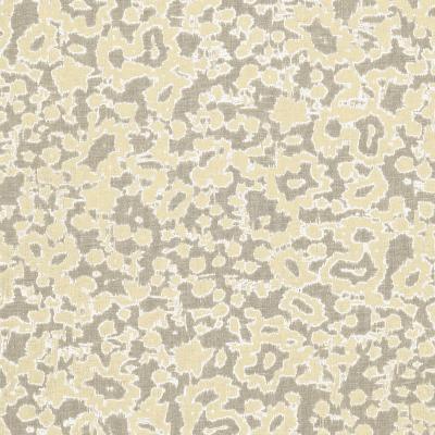 Schumacher Fabric RAIN DANCE STONE