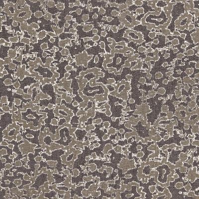 Schumacher Fabric RAIN DANCE CHARCOAL