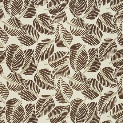 Schumacher Fabric COSTA RICA CHOCOLATE