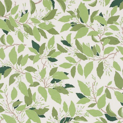 Schumacher Fabric DOGWOOD LEAF IVORY