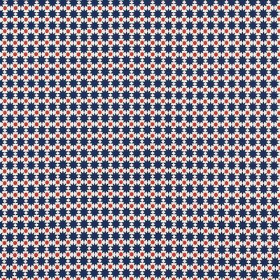 Schumacher Fabric COSMOS II NAVY & RED